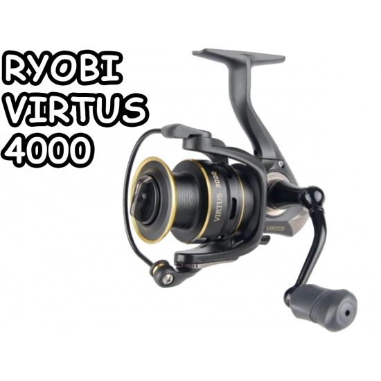 RYOBI Virtus 4000