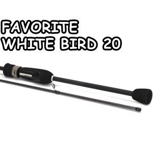 Favorite White Bird 20 (1)